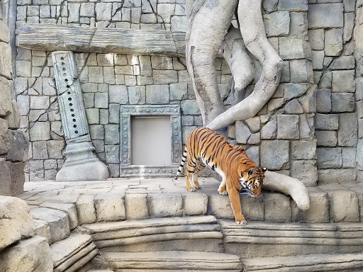 Zoo «Tulsa Zoo», reviews and photos, 6421 E 36th St N, Tulsa, OK 74115, USA