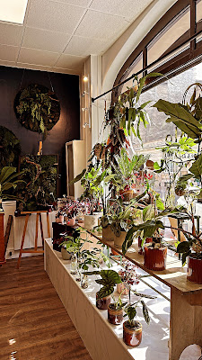 Jungle LAB. à Reims