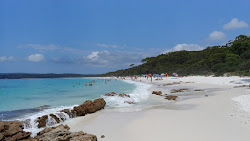 Photo de Hyams Beach avec un niveau de propreté de très propre