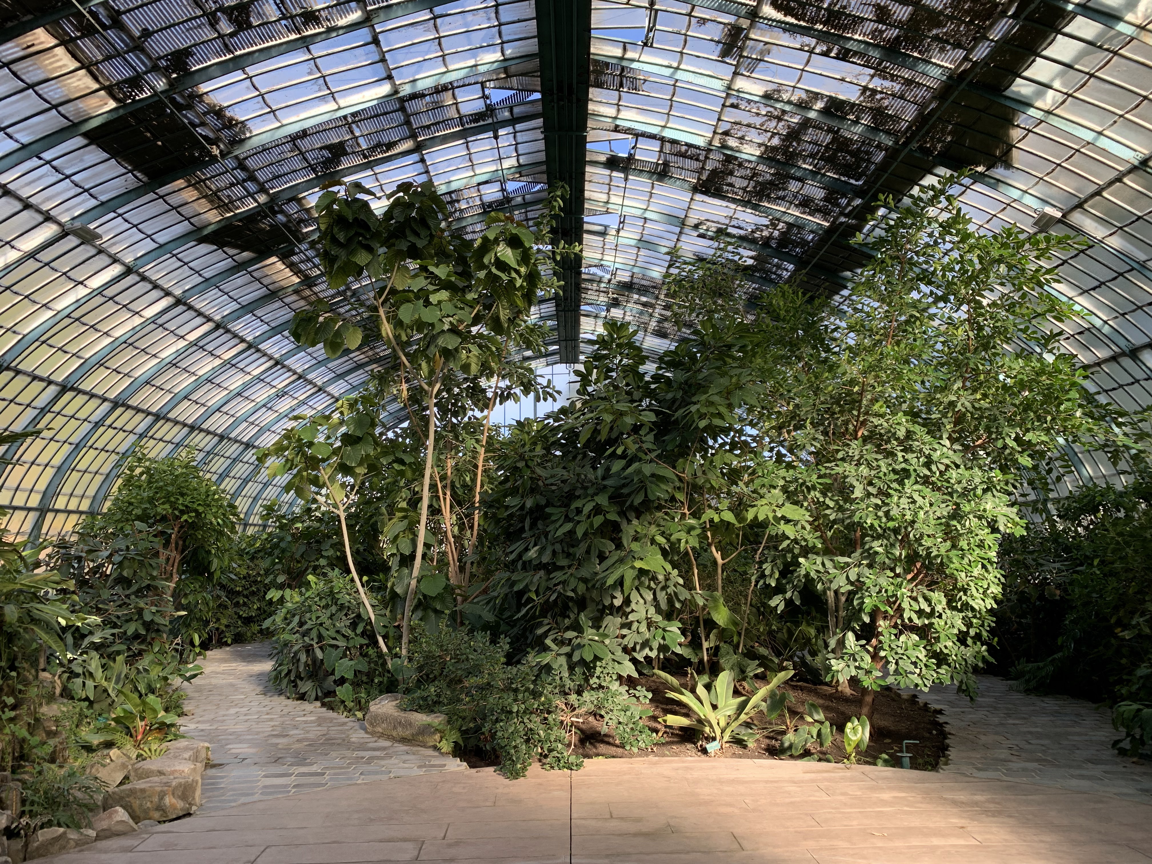 Photo n° 2 de l'avis de Marc.N fait le 14/12/2019 à 15:24