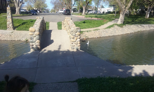 Auto Insurance Agency «AAA Marysville», reviews and photos