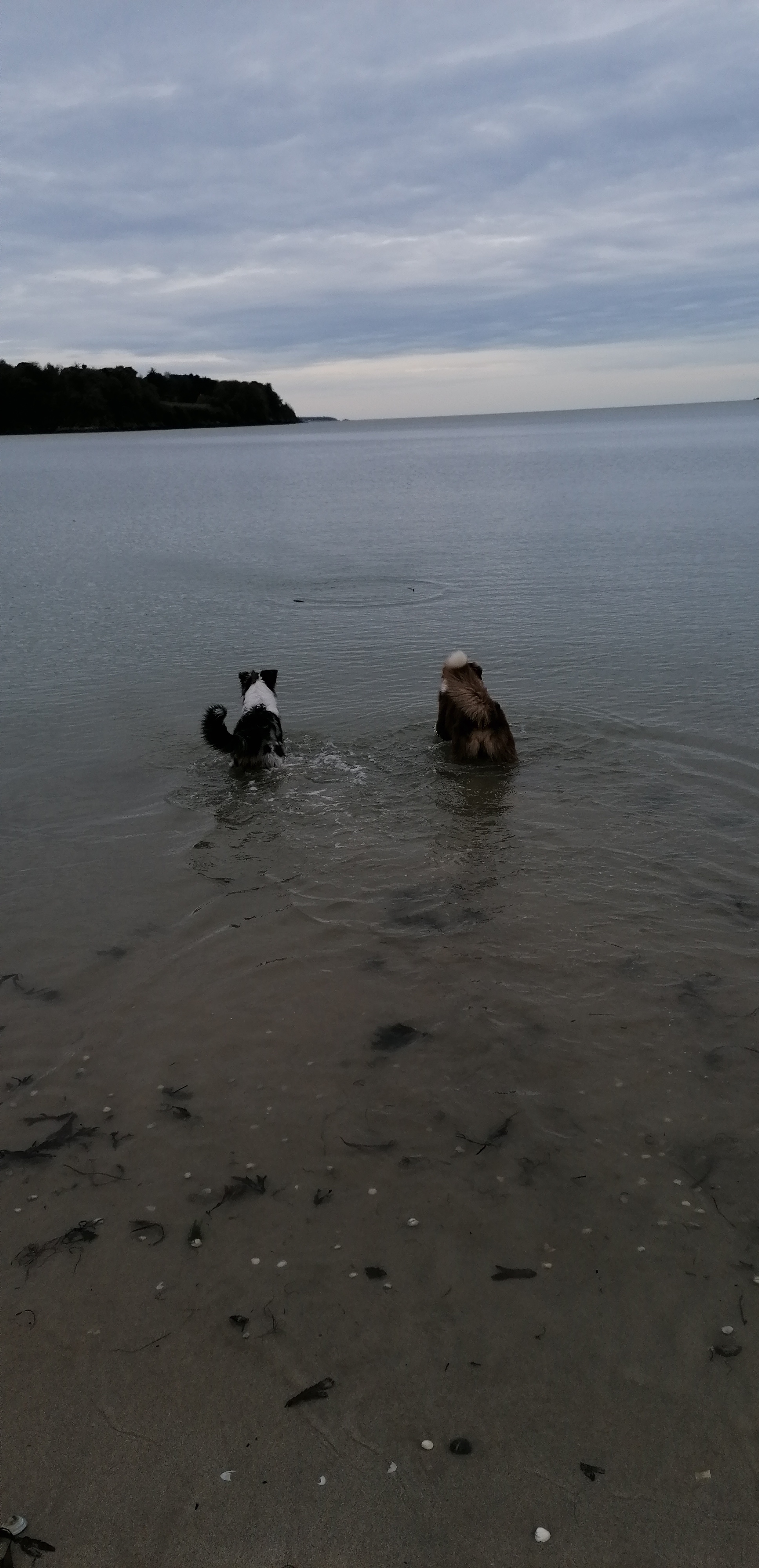 Photo n° 2 de l'avis de sabine.a fait le 28/11/2019 à 10:59