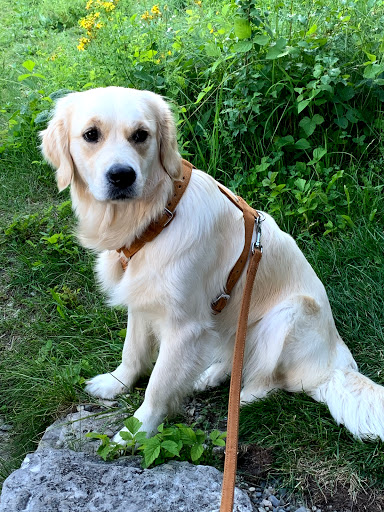 Der Hundsladen - Tierbedarf Pfullingen unter Pfullingen, 