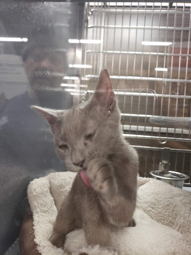 Pet Store «PetSmart», reviews and photos, 10451 Baltimore St NE, Blaine, MN 55449, USA