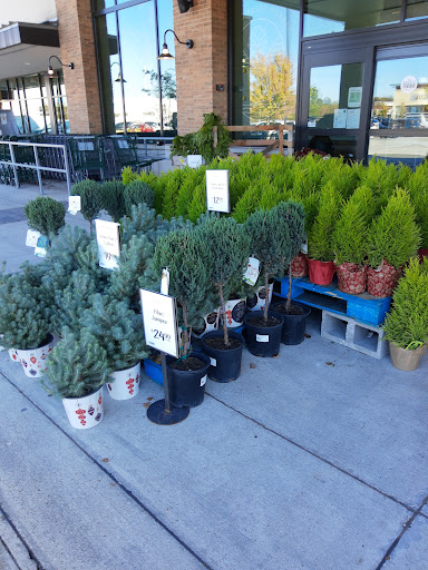 Grocery Store «Whole Foods Market», reviews and photos, 1380 E 70th St, Shreveport, LA 71105, USA