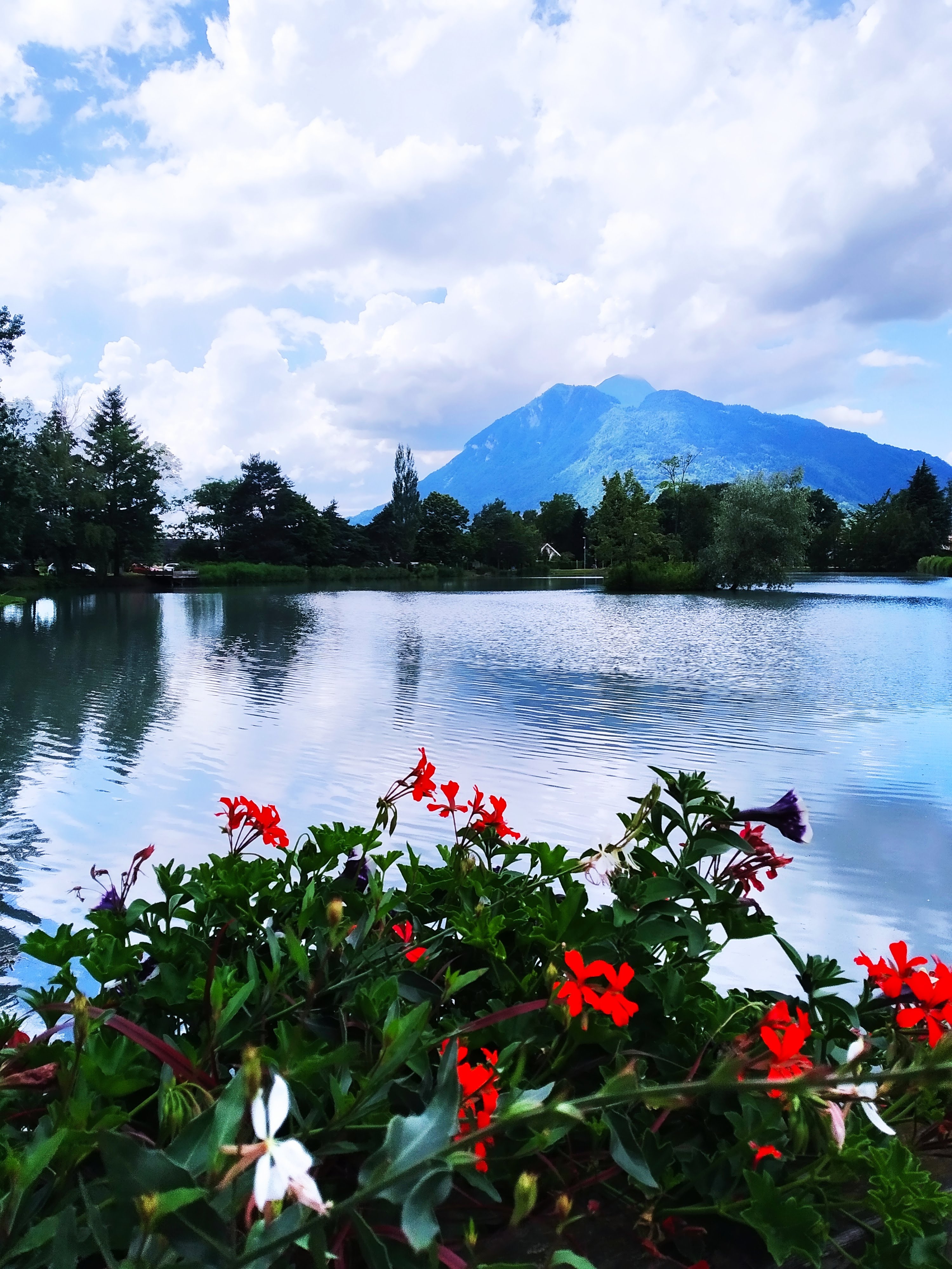 Photo n° 1 de l'avis de david.z fait le 20/06/2020 à 20:09