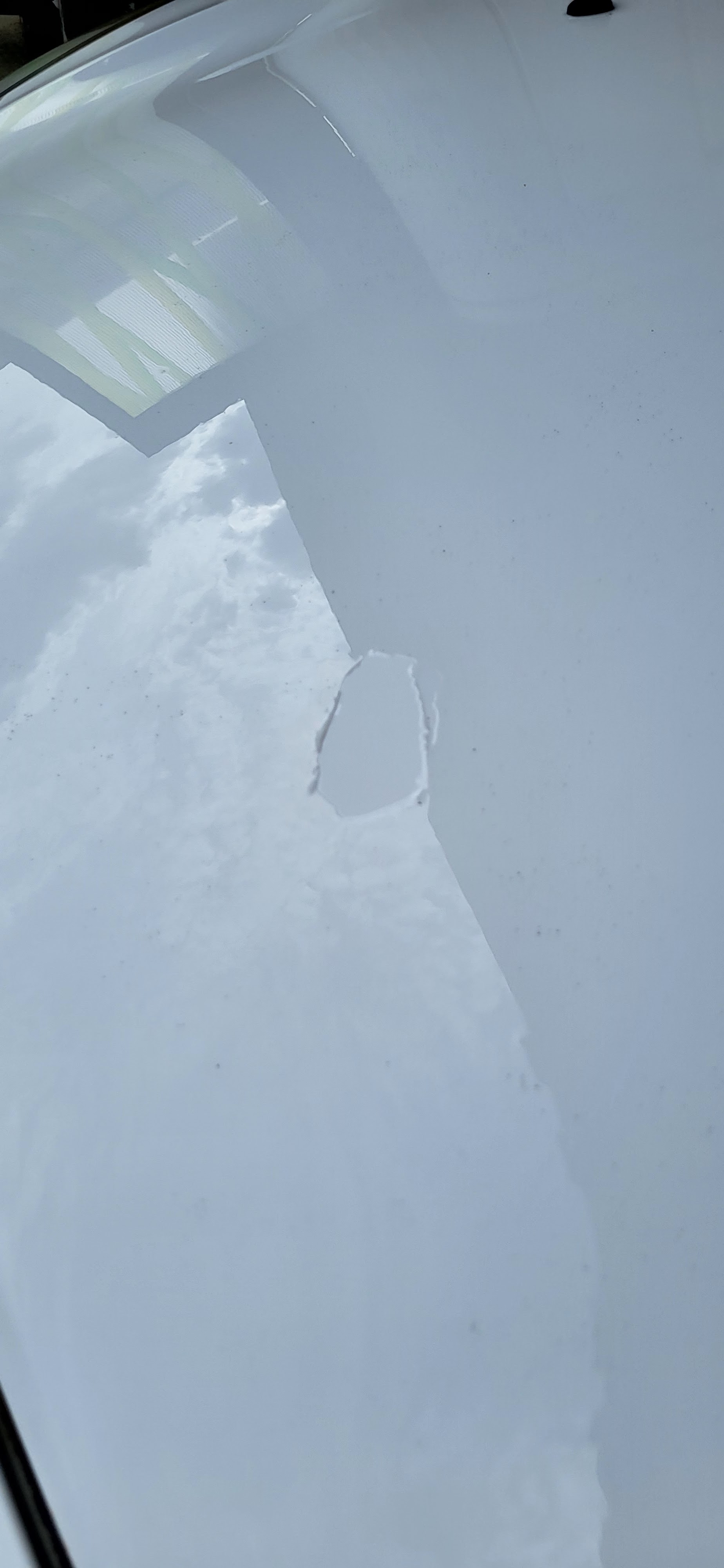 Photo n° 1 de l'avis de Géraldine.e fait le 29/02/2024 à 22:35