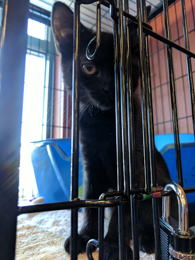 Pet Supply Store «Pet Valu», reviews and photos, 1308 Main Chapel Way, Gambrills, MD 21054, USA