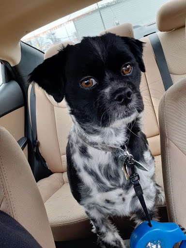 Archbold Animal Hospital image