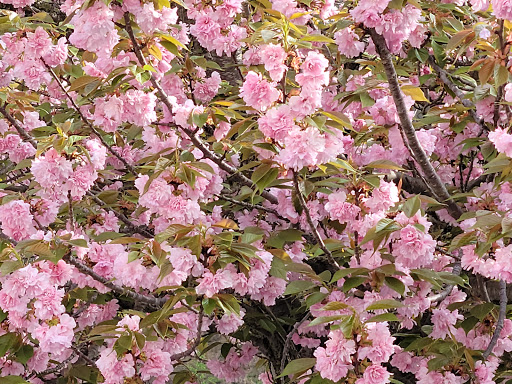 Home Improvement Store «The Home Depot», reviews and photos, 1100 Liberty Park Dr, Hurricane, WV 25526, USA