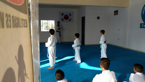 Academia Continental De Taekwondo Virreyes