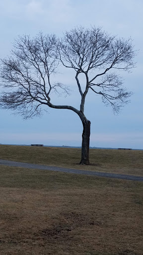 Park «Lyons Park», reviews and photos, Lothrop St, Beverly, MA 01915, USA