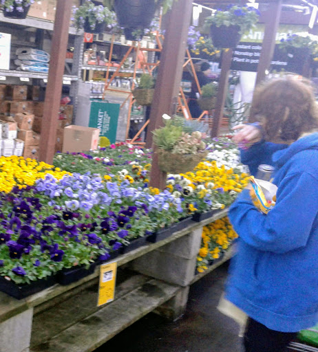 Home Improvement Store «The Home Depot», reviews and photos, 6001 Madison Ave, Carmichael, CA 95608, USA