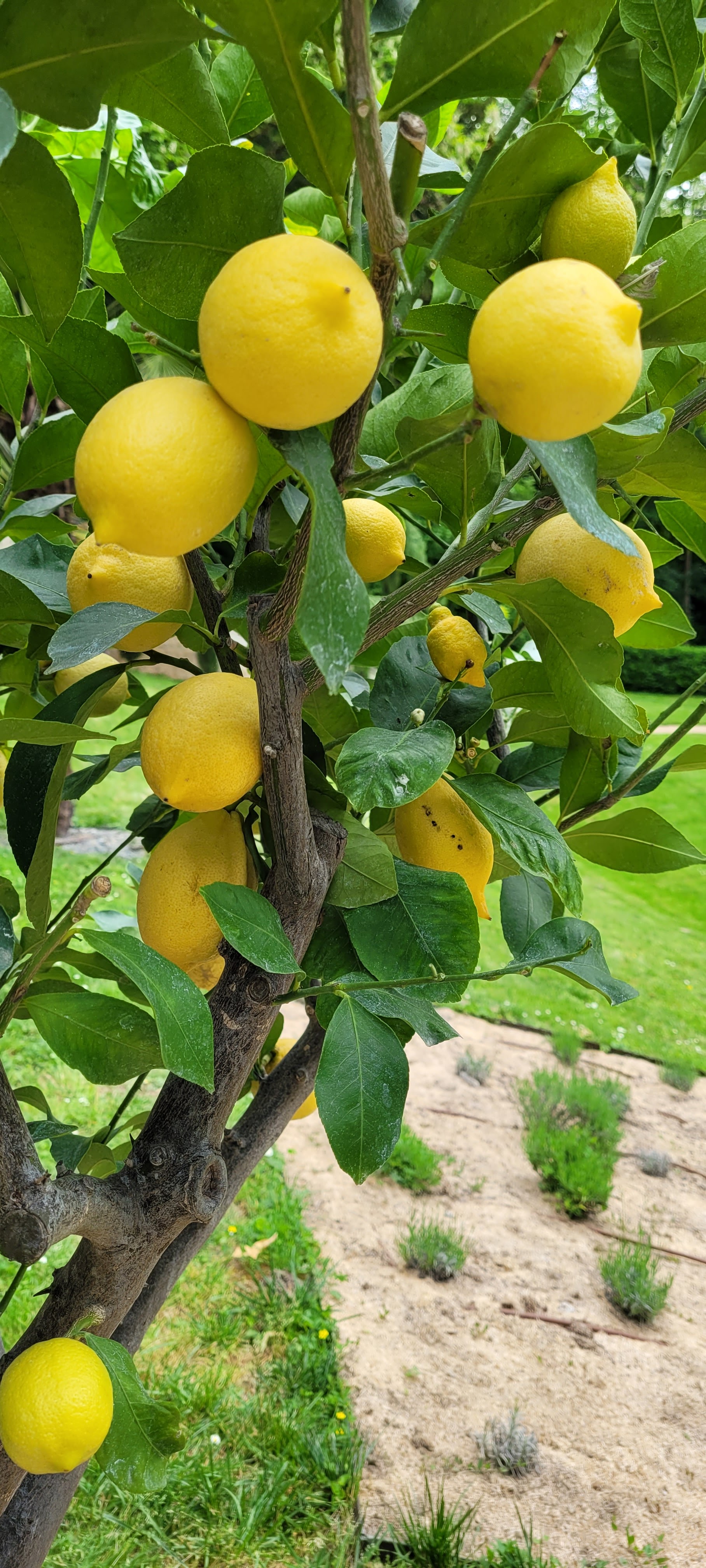 Photo n° 2 de l'avis de Marielle.o fait le 20/05/2023 à 16:29