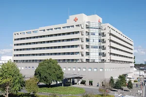 Japanese Red Cross Narita Hospital image