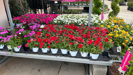 Home Improvement Store «The Home Depot», reviews and photos, 6501 W Broad St, Richmond, VA 23230, USA