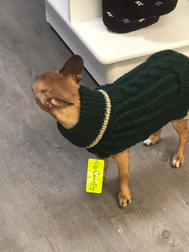 Pet Supply Store «Sonoma Pet and Aquatics», reviews and photos, 201 W Napa St #7, Sonoma, CA 95476, USA