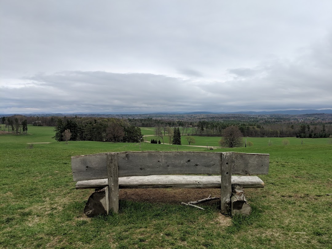 Lone Tree Hill