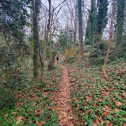 Fernwood Nature Trail