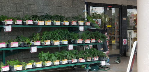 Hardware Store «Apopka Ace Hdw/Lbr Inc», reviews and photos, 530 S Park Ave, Apopka, FL 32703, USA