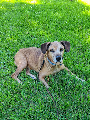 Lamar Animal Clinic image