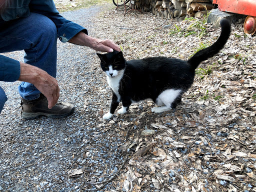 Bicycle Store «Green Mountain Bicycles», reviews and photos, 105 N Main St, Rochester, VT 05767, USA