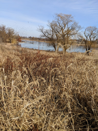 Park «Centennial Park», reviews and photos, 7800 W 171st St, Tinley Park, IL 60487, USA