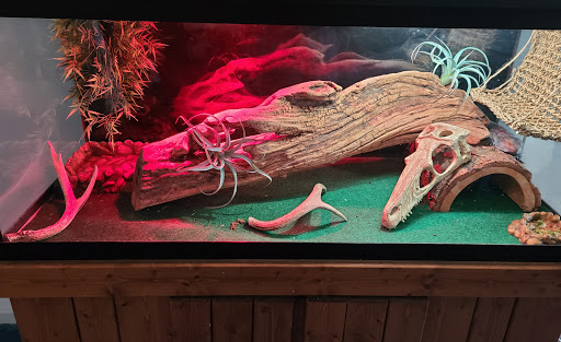 Pet Store «Precious Pets III», reviews and photos, 1091 US-130, Burlington, NJ 08016, USA