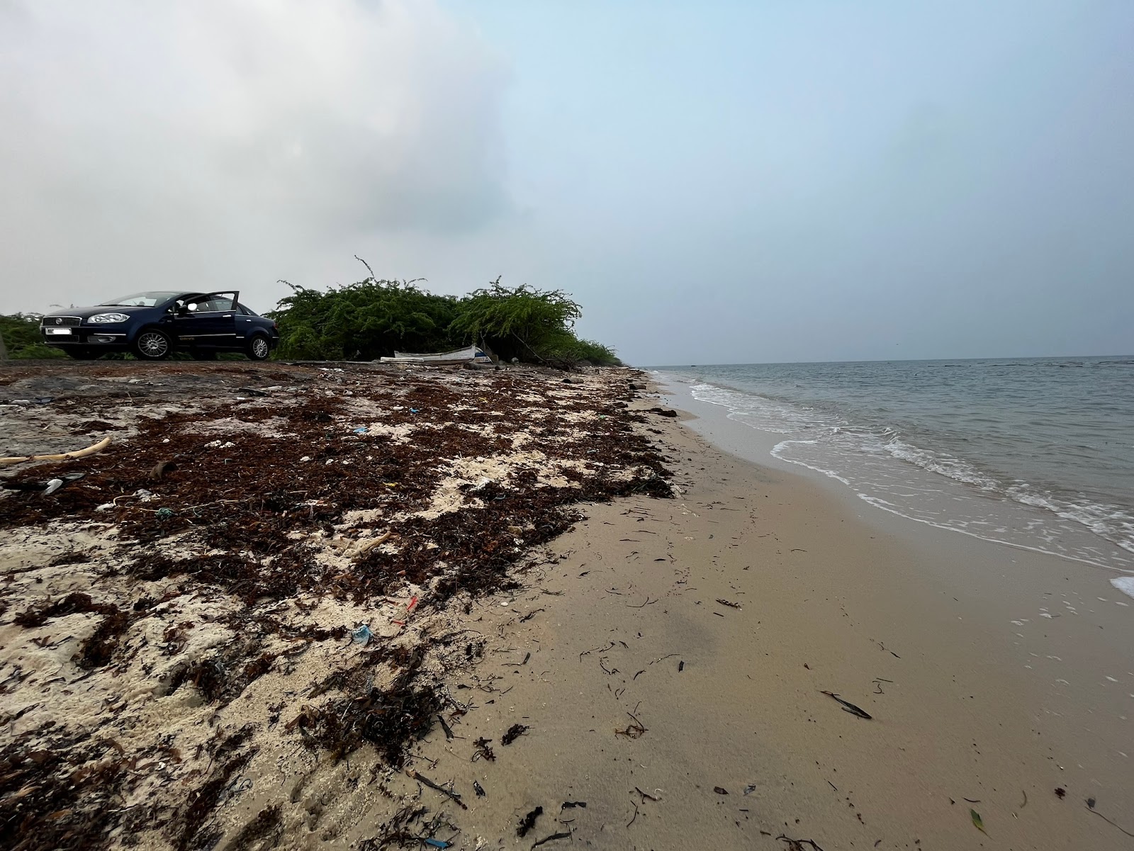 Foto di Brisy Beach con parzialmente pulito livello di pulizia