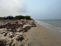 Foto av Brisy Beach vildmarksområde