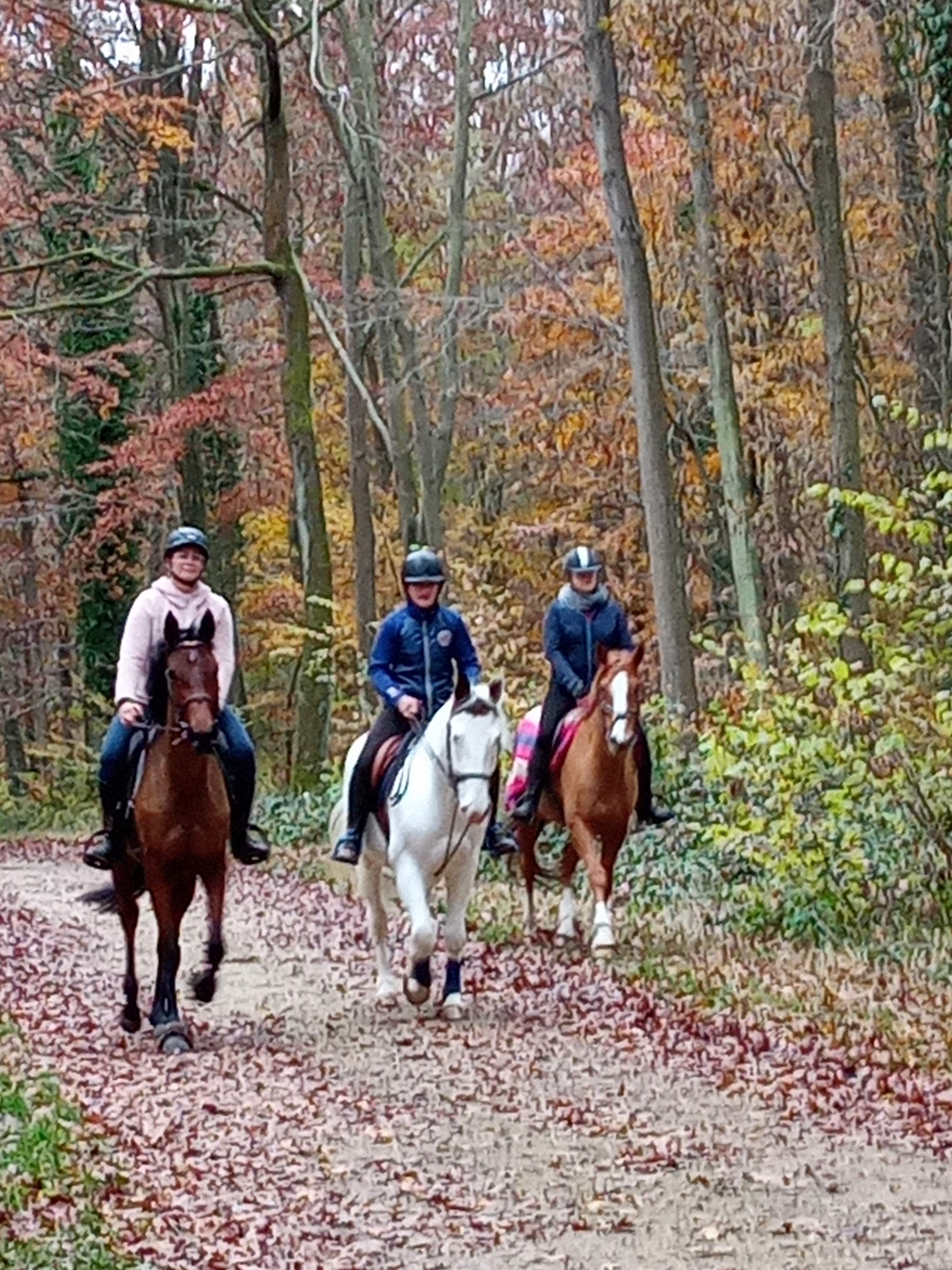 Photo n° 3 de l'avis de marieFrancois.y fait le 26/11/2021 à 20:19