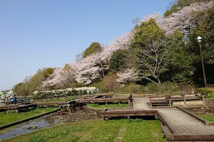 Teragaike Park image