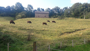 Photo n°41 de Auberge du Pont à Saint-Projet-de-Salers ()