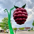 The World's largest Raspberry