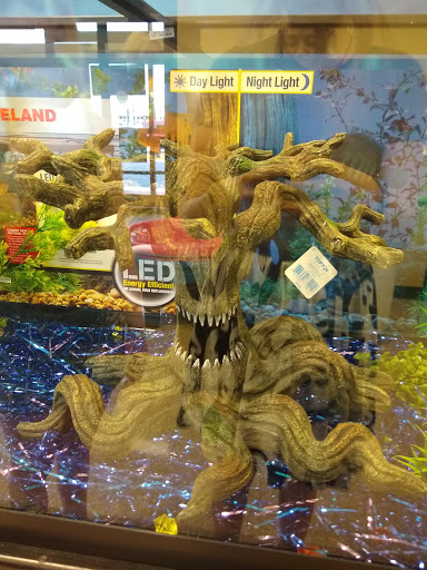 Pet Supply Store «PetSmart», reviews and photos, 9970 Sowder Village Square, Manassas, VA 20109, USA