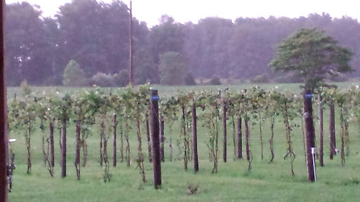 Winery «Indian Spring Winery», reviews and photos, 10862 Fite-Hauck Rd, Sardinia, OH 45171, USA