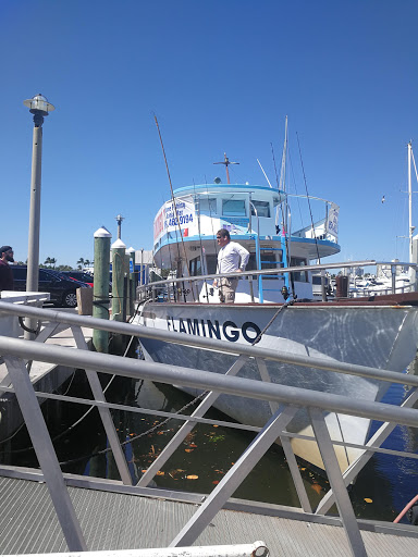 Fishing Charter «Flamingo Deep Sea Fishing», reviews and photos, 801 Seabreeze Blvd, Fort Lauderdale, FL 33316, USA