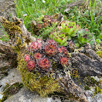 Photo n°2 de l'avis de Valentina.u fait le 26/04/2023 à 19:05 sur le  Agriturismo Casale S.Antonio à Cascia