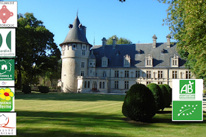 Château de Montigny-sur-Aube image