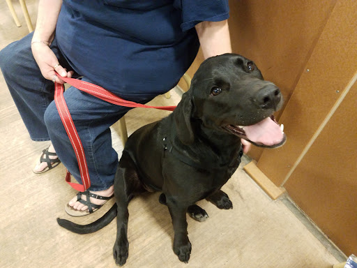 Pet Supply Store «PetSmart», reviews and photos, 10830 Olson Dr, Rancho Cordova, CA 95670, USA