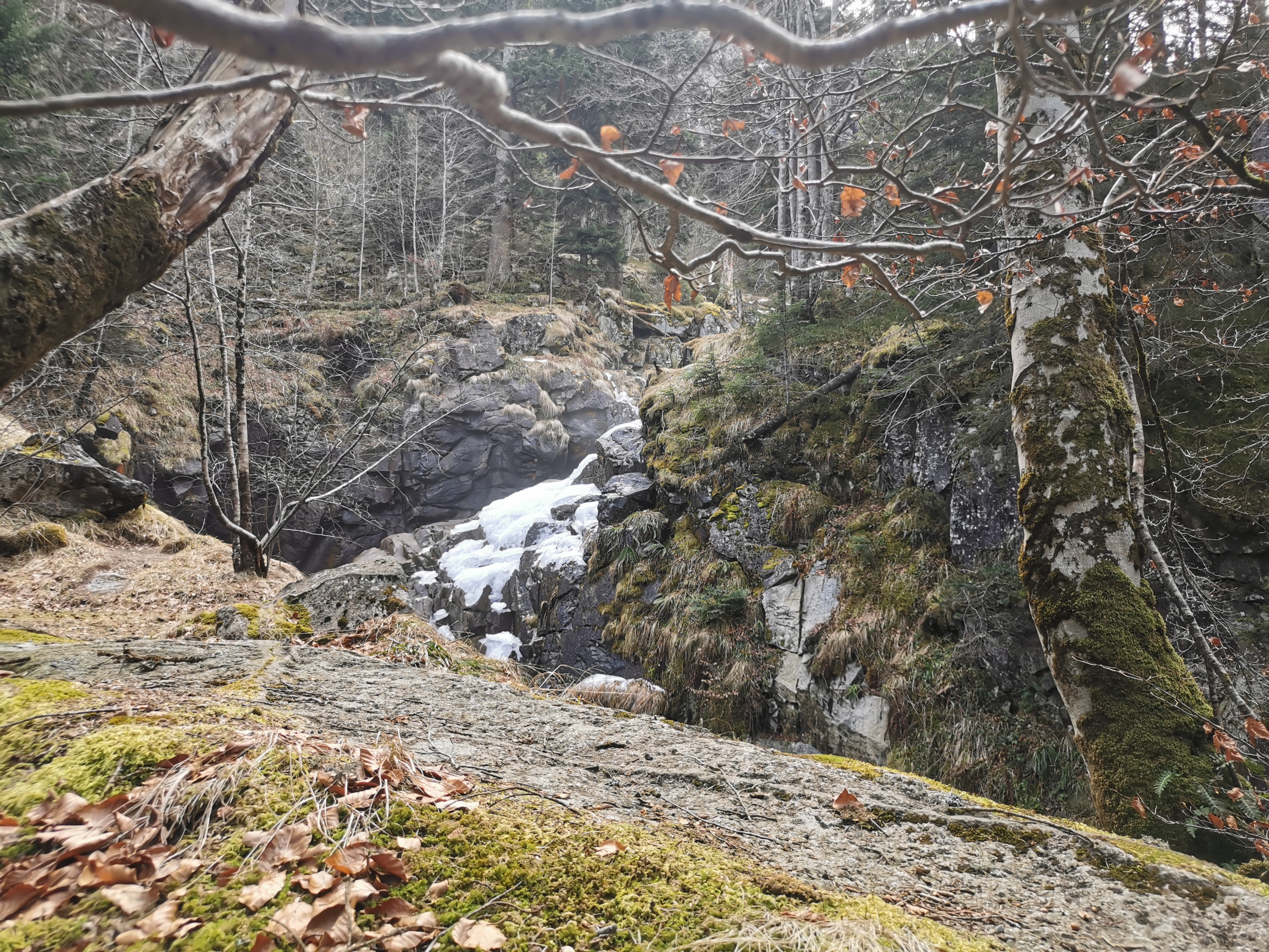Photo n° 1 de l'avis de Jérôme.o fait le 24/02/2022 à 18:36