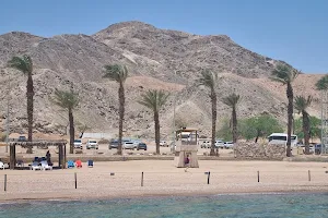 Eilat Coral Beach Nature Reserve image