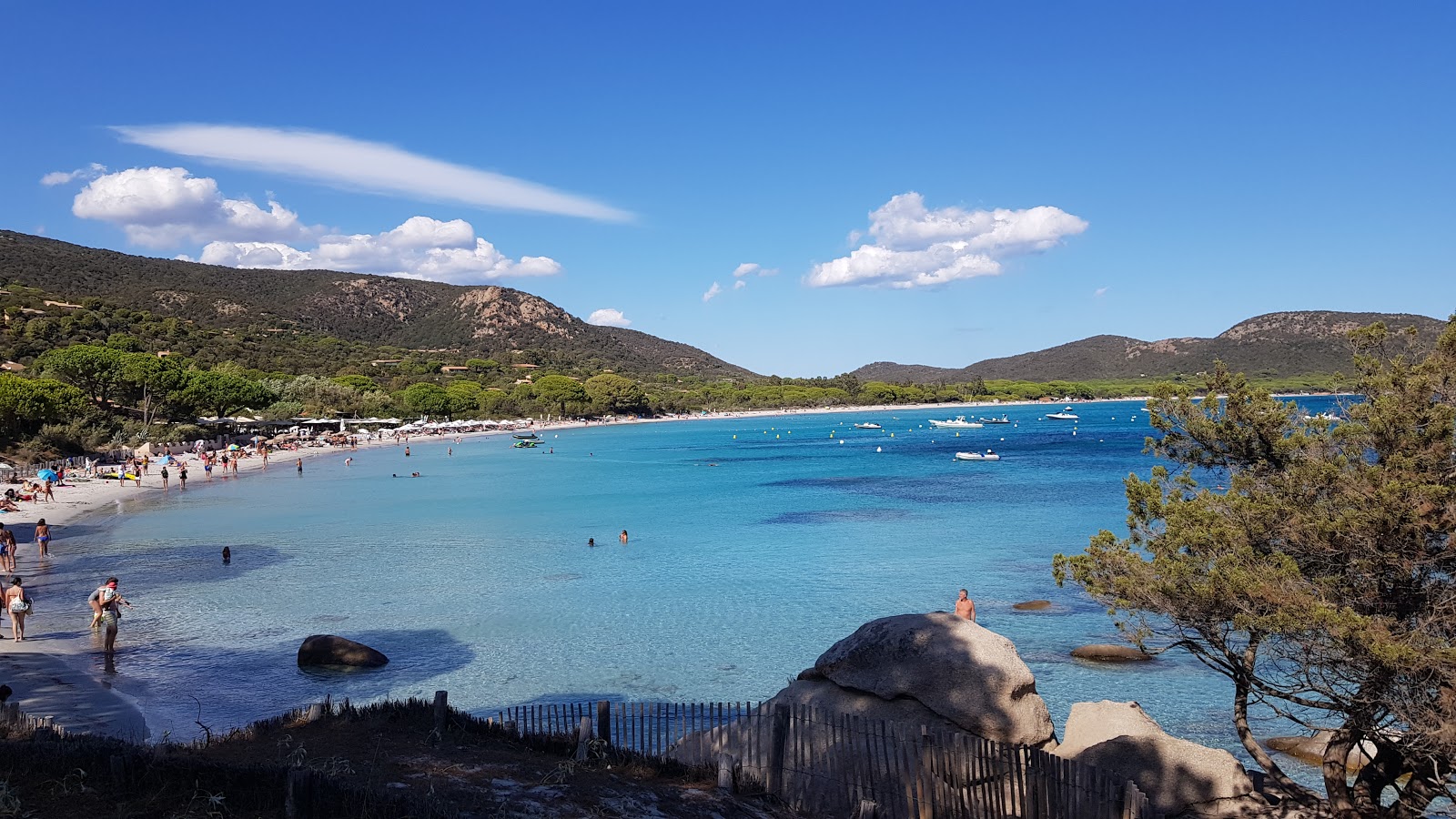 Plage de Palombaggia photo #4
