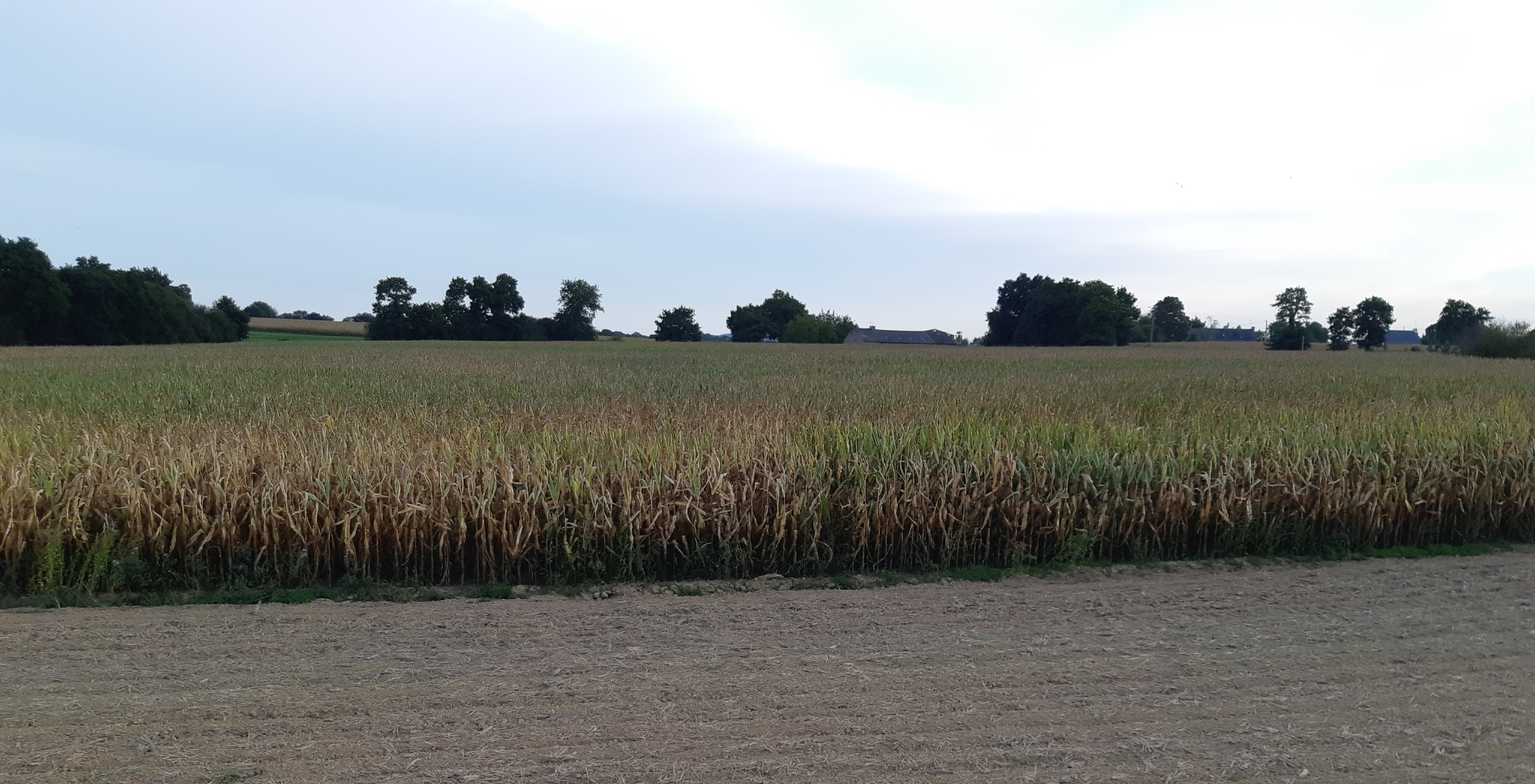Photo n° 3 de l'avis de eschenbrenner.e fait le 26/09/2022 à 22:00