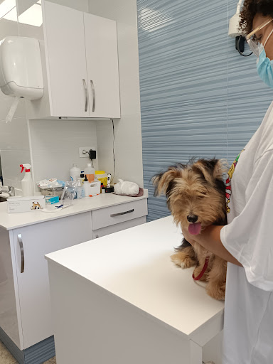 Clínica Veterinaria Blasco Ibáñez 97 C.b. en Valencia