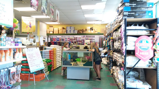 Pet Supply Store «Petland - Iowa City», reviews and photos, 1851 Lower Muscatine Rd, Iowa City, IA 52240, USA