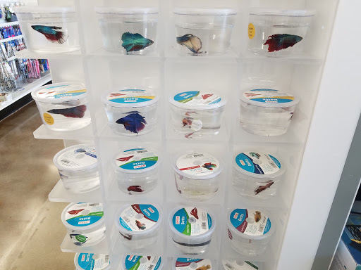 Pet Supply Store «Petco Animal Supplies», reviews and photos, 237 Hanbury Rd E, Chesapeake, VA 23322, USA