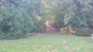 Centennial Gardens - photo 93