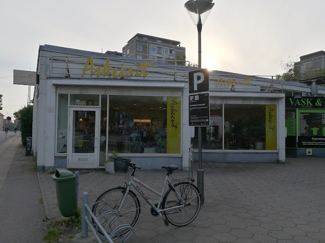 Askecut - Bispebjerg