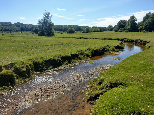 Mill Lawn Brook